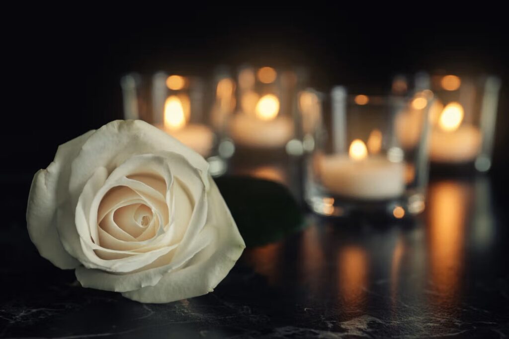 White rose laying on a table with four candles lit in the background