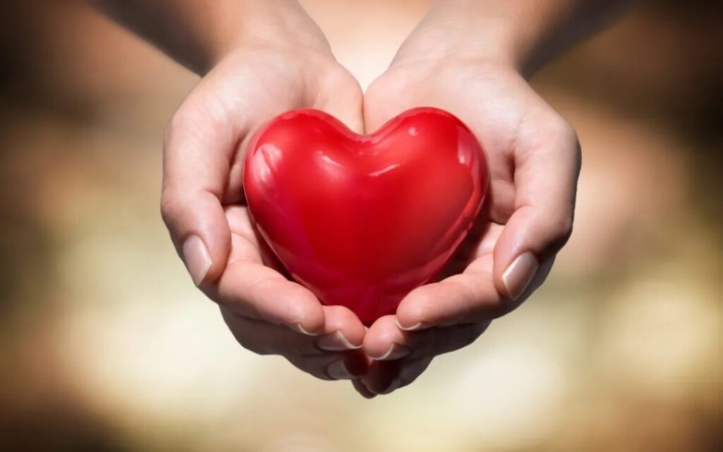 hands holding a red heart