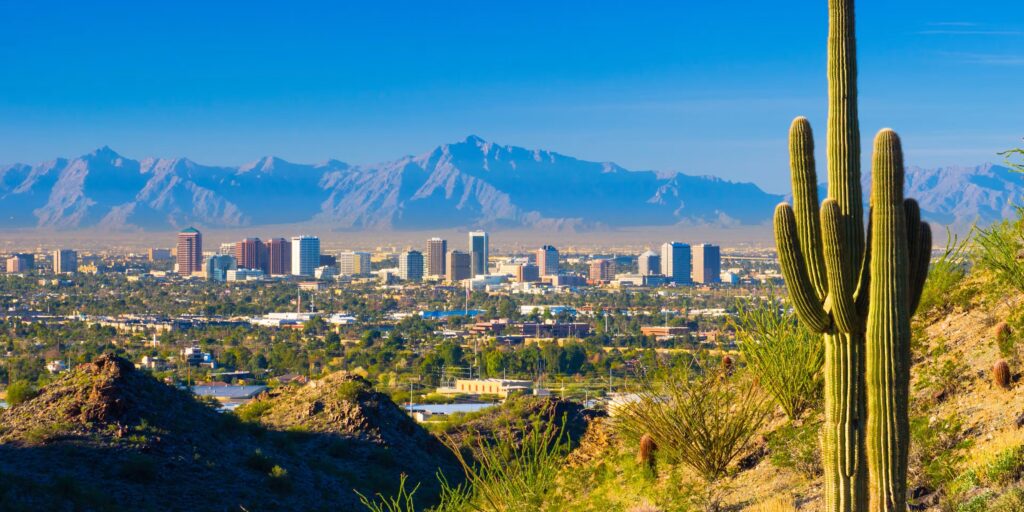 view of phoenix arizona from a distance with catus in the foreground and tall buildings in the background